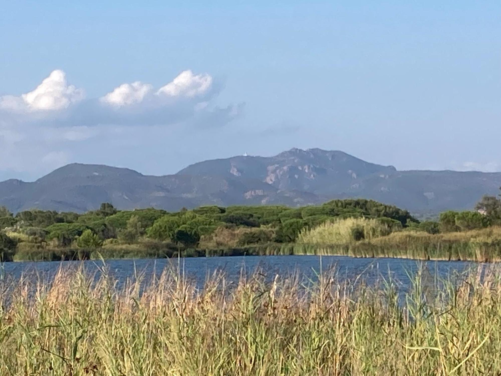 Climatisee Calme Avec Piscine Partagee Saint Aygulf/frejus Villa